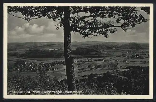 AK Hoppstädten-Nahe-Bleierdingen-Weiersbach, Teilansicht mit Baum