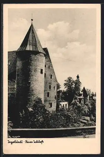 AK Ingolstadt, Neues Schloss