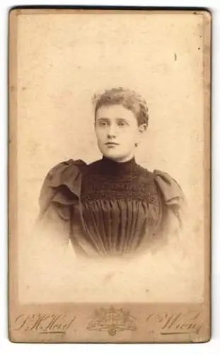 Fotografie D. H. Heid, Wien, Hauptstrasse 33, Portrait einer jungen Frau in elegantem Kleid