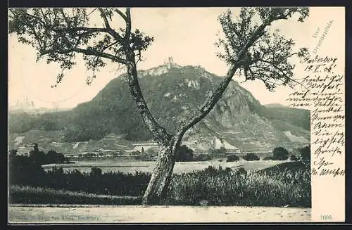 AK Königswinter, Burg Drachenfels