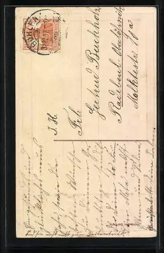 AK Schweine im Stall mit Stechpalme