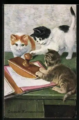 AK Katzen spielen mit Stempel & Dokumenten