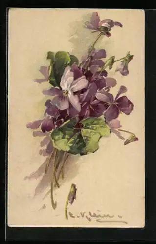 Künstler-AK Catharina Klein: Bouquet aus violetten Veilchen mit grünen Blättern