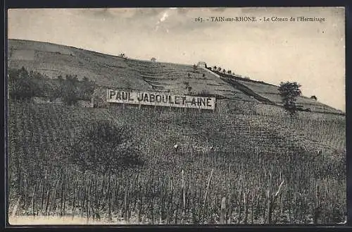 AK Tain-sur-Rhône, Le Coteau de l`Hermitage avec vignobles et panneau Paul Jaboulet Aîné