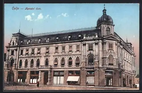 AK Celje, Narodni dom