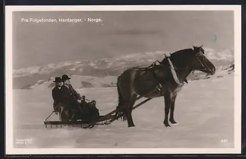 AK Norwegen, Hardanger, Folgefonna, Pferdeschlitten