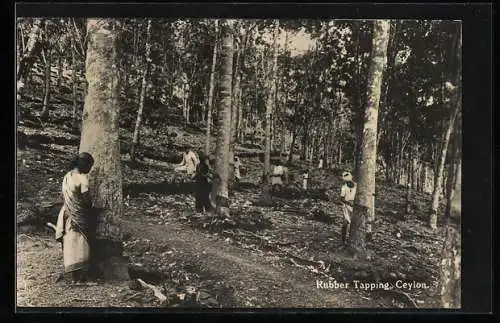 AK Ceylon, Rubber Tapping