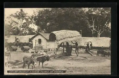 AK Ceylon, Coconut Native Oil-Mill Or Chekku