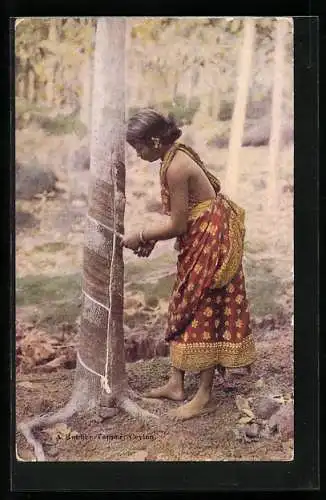 AK Ceylon, A Rubber Tapper