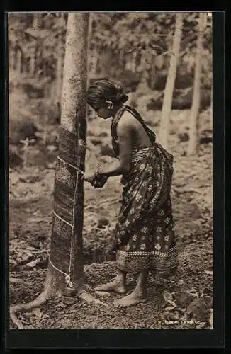 AK Ceylon, Rubber Tapping