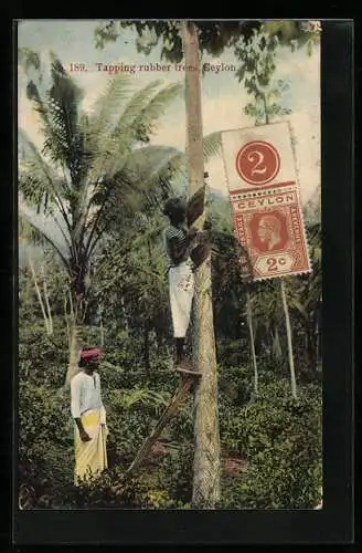 AK Ceylon, Tapping Rubber Trees