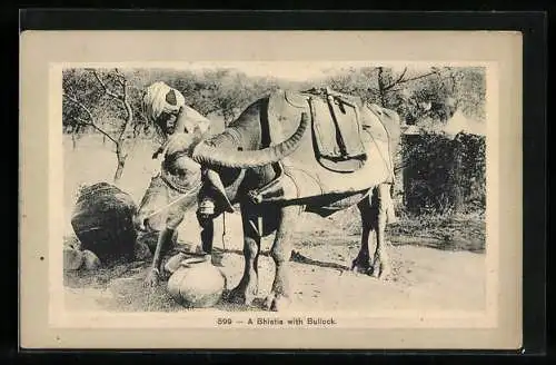 AK A Bhistie with Bullock