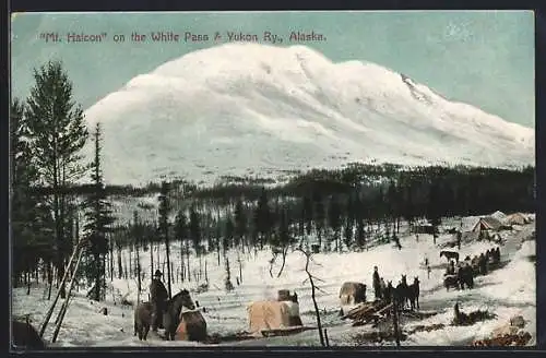 AK Mt. Halcon, AK, The White Pass and Yukon Ry.