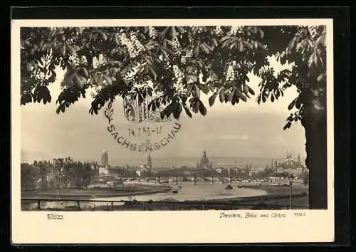 Foto-AK Walter Hahn, Dresden, Nr. 7922: Dresden, Elbansicht von Osten aus