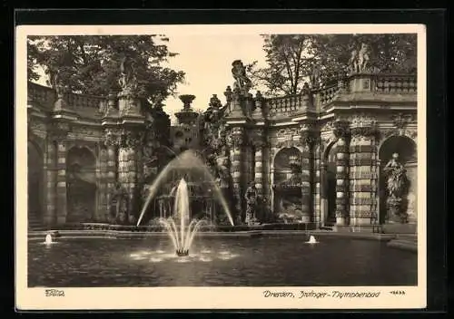 Foto-AK Walter Hahn, Dresden, Nr. 12633: Dresden, Zwinger-Nymphenbad