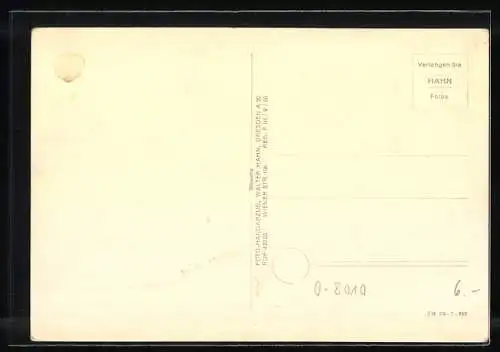 Foto-AK Walter Hahn, Dresden, Nr. 12633: Dresden, Zwinger-Nymphenbad