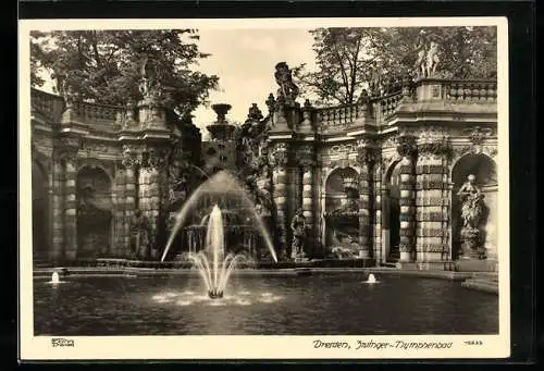 Foto-AK Walter Hahn, Dresden, Nr. 12633: Dresden, Zwinger-Nymphenbad