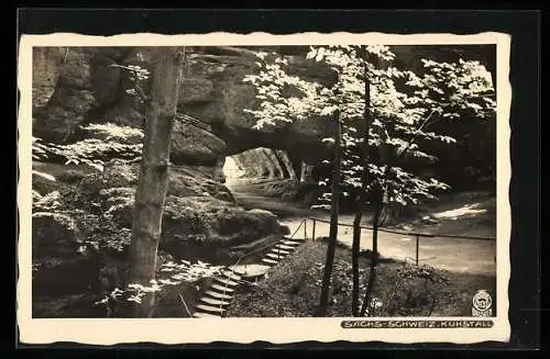 Foto-AK Walter Hahn, Dresden, Nr. 3131: Kuhstall /Sächs.-Schweiz, Blick auf eine Höhle