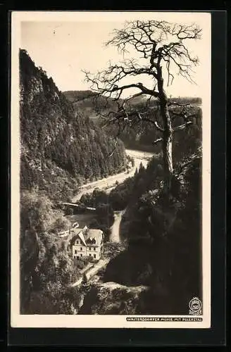 Foto-AK Walter Hahn, Dresden, Nr. 2607: Rathen, Waltersdorfer Mühle im Polenztal