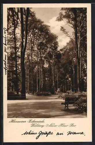 AK Hannover-Eilenriede, Waldweg Neues-Haus-Zoo