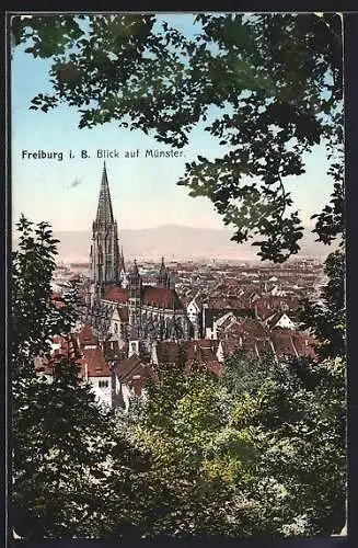 AK Freiburg i. Br., Blick auf Münster