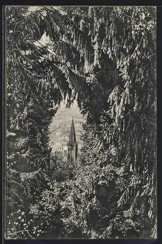 AK Freiburg i. B., Blick auf das Münster von der Brücke auf dem Schlossberg