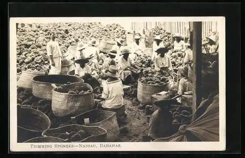 AK Nassau, Trimming Sponges