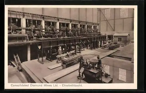 AK Elisabethbucht, Consolidated Diamond Mines Ltd.