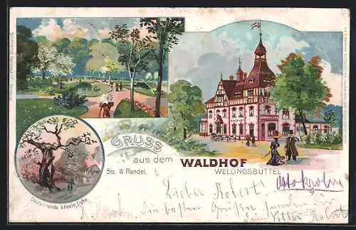 Lithographie Hamburg-Wellingsbüttel, Gasthaus Waldhof, Deutschlands älteste Eiche, Partie im Park