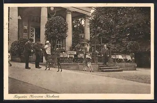 AK Hannover-Kirchrode, Cafe am Tiergarten von Ed. Schwarze