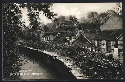 AK Schweinfurt, Partie an der alten Stadtmauer