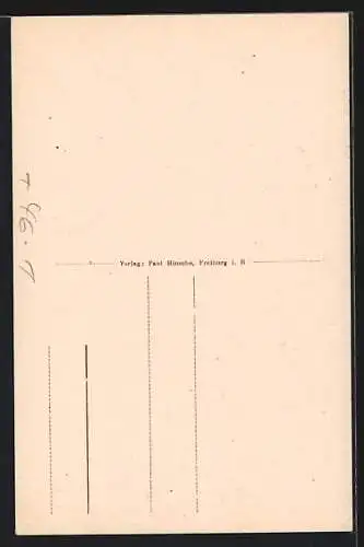 AK Freiburg i. B., Kaiserstrasse mit Martinstor und Strassenbahn