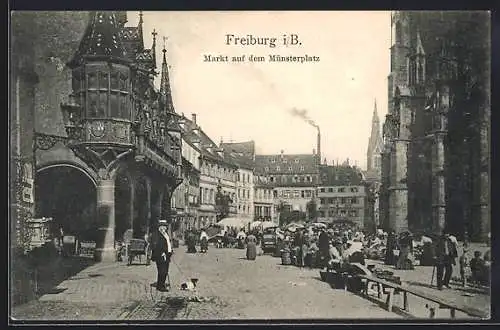 AK Freiburg i. B., Markt auf dem Münsterplatz