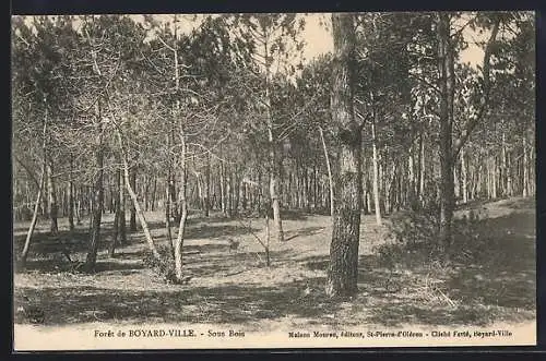 AK Boyard-Ville, La Forêt, Sous Bois