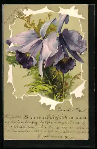 Künstler-AK Catharina Klein: Violette Irisblüten mit grünen Farnblättern im Hintergrund