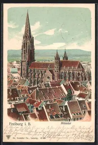 Lithographie Freiburg / Breisgau, Blick auf Münster