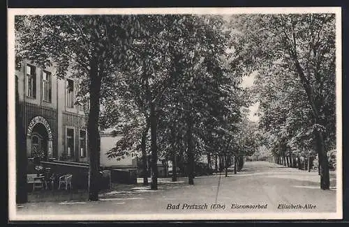 AK Bad Pretzsch /Elbe, Eisenmoorbad und Elisabeth-Allee