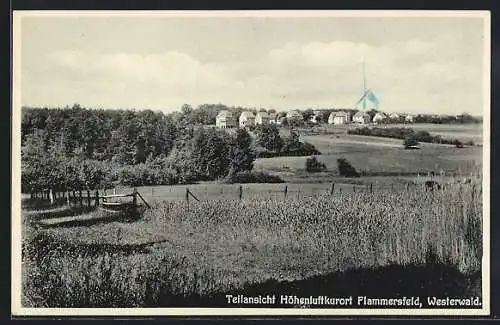 AK Flammersfeld /Westerwald, Teilansicht