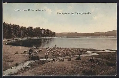 AK Limsdorf, Scharmützelsee, Panorama an der Springseequelle