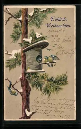 AK Fröhliche Weihnachten, Blaumeisen an einem Vogelhaus