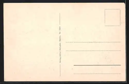 AK Stettin, Dampfer im Hafen
