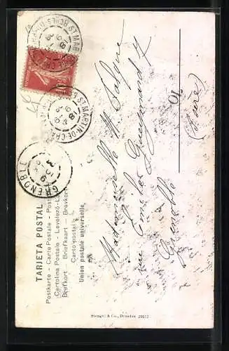 AK Senalando la Estocada, Stierkampf