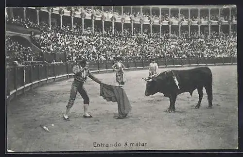 AK Matador steht einem Stier in der Arena gegenüber