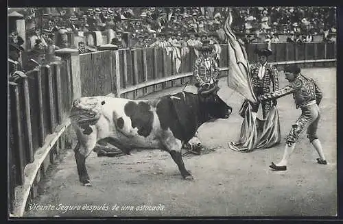 AK Vicente Segura despuès de una estocada, Stierkampf