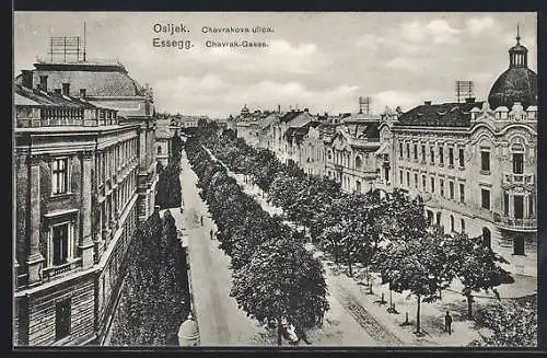 AK Osijek, Chavrakova ulica