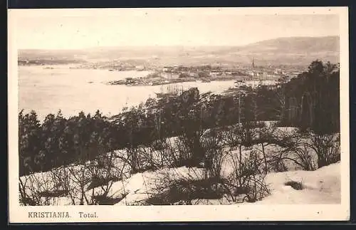 AK Kristiania, Totalansicht vom verschneiten Berg aus