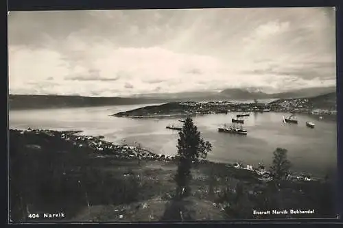 AK Narvik, Panoramablick über die Bucht