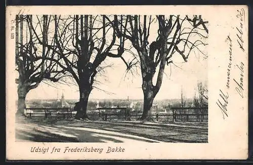 AK Frederiksberg, Udsigt fra Frederiksberg Bakke