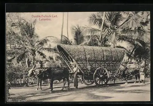 AK Colombo, Double Bullock Cart