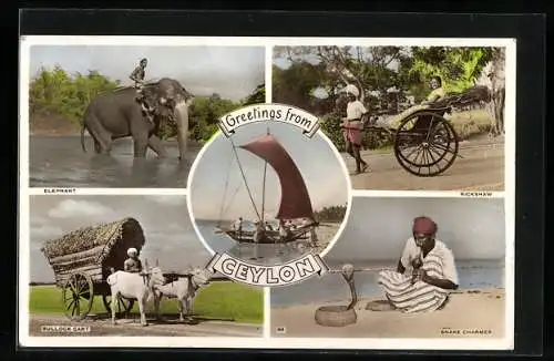 AK Ceylon, Elephant with rider, Rickshaw, Bullock Cart, Snake Charmer